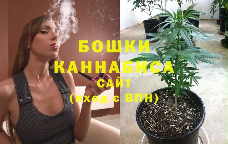 Бошки марихуана THC 21%  Заринск 